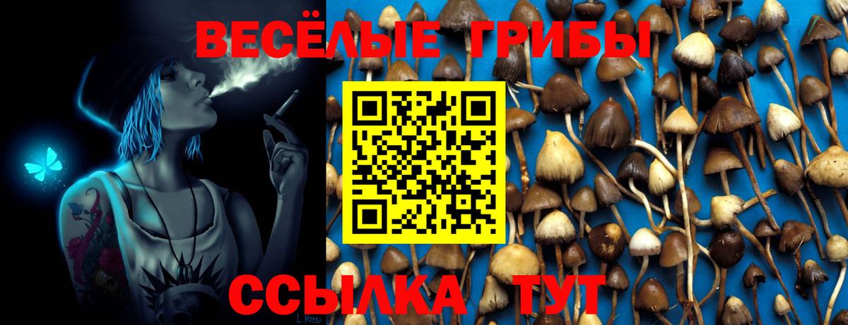 Псилоцибиновые грибы MAGIC MUSHROOMS  Вход с VPN  Королёв  Псилоцибиновые грибы Cubensis 