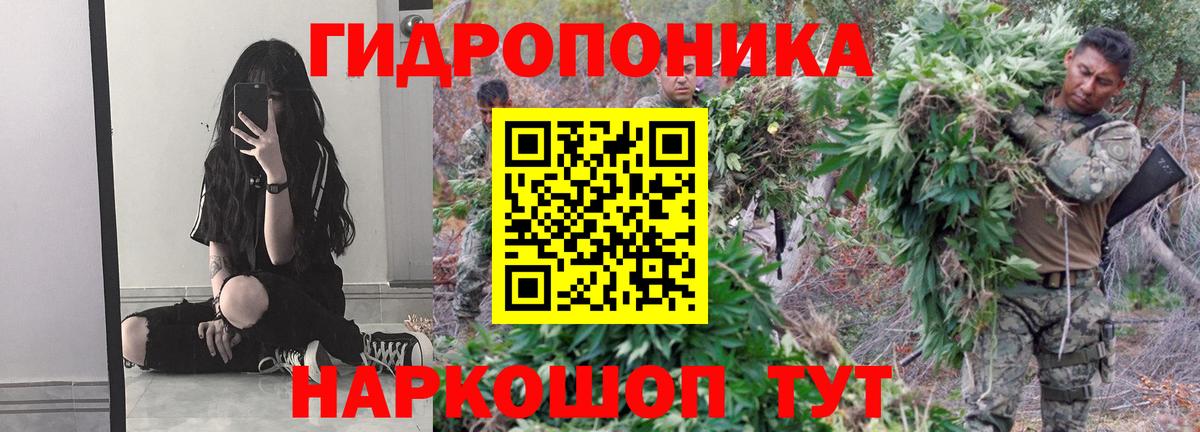 Бошки марихуана Bruce Banner Королёв
